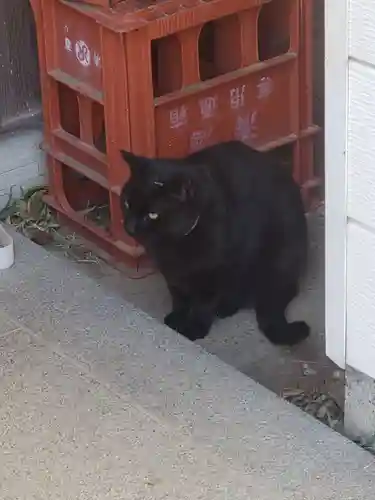 前玉神社(埼玉県)