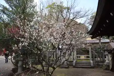 北野天満宮(京都府)