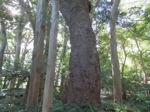 伊雜宮（皇大神宮別宮）の自然