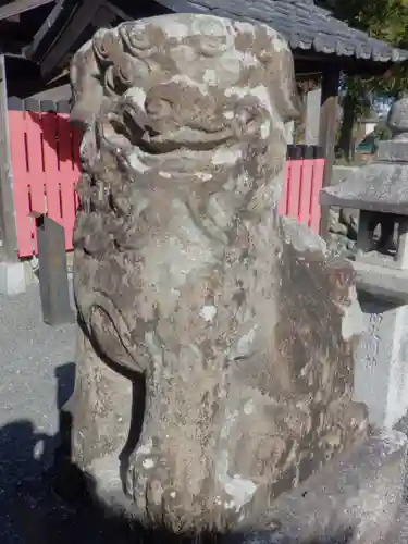 大歳神社の狛犬