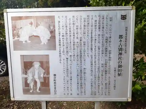 都々古別神社(八槻)(福島県)