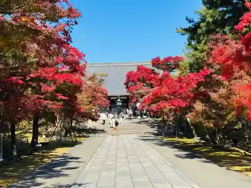東寺（教王護国寺）の{uncategorized: "未分類", other: "その他", undefined: "問題あり", building: "その他建物", grave: "お墓", sacred_gate: "鳥居", guardian: "狛犬", statue: "像", buddha: "仏像", history: "歴史", nature: "自然", garden: "庭園", animal: "動物", pagoda: "塔", temizu: "手水舎", mountain_gate: "山門・神門", sanctuary: "本殿・本堂", subordinate: "末社・摂社", art: "芸術", scenery: "景色", jizo: "地蔵", ema: "絵馬", goshuin: "御朱印", omikuji: "おみくじ", items: "授与品その他", amulet: "お守り", goshuincho: "御朱印帳", eats: "食事", festival: "お祭り", votive_dance: "神楽", shichigosan: "七五三参", wedding: "結婚式", experience: "体験その他", initially: "初詣", around: "周辺", anti_infection: "感染症対策"}