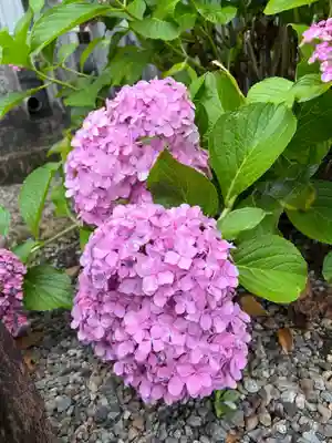 手力雄神社(岐阜県)