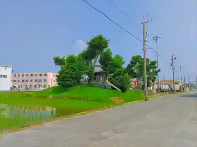 素盞嗚神社（鍜治ケ一色）の自然