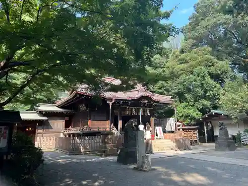 代々木八幡宮の本殿・本堂