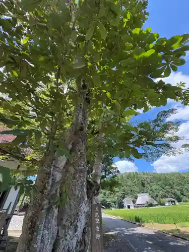 岡田神社(広島県)