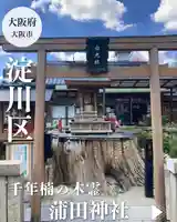 蒲田神社(大阪府)