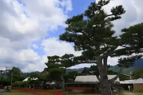 唐崎神社の景色