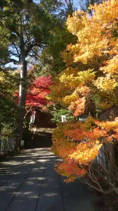 葛城一言主神社(奈良県)