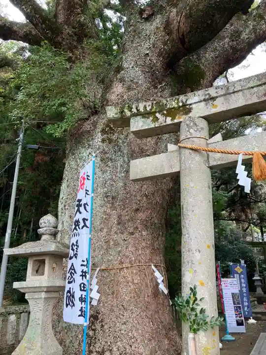 仁井田神社(高知県)