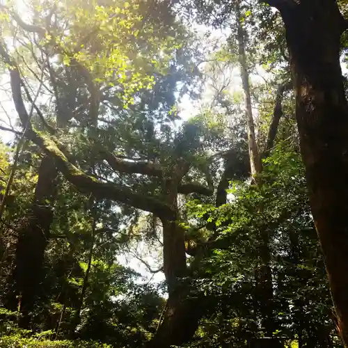 鹿島神宮の自然