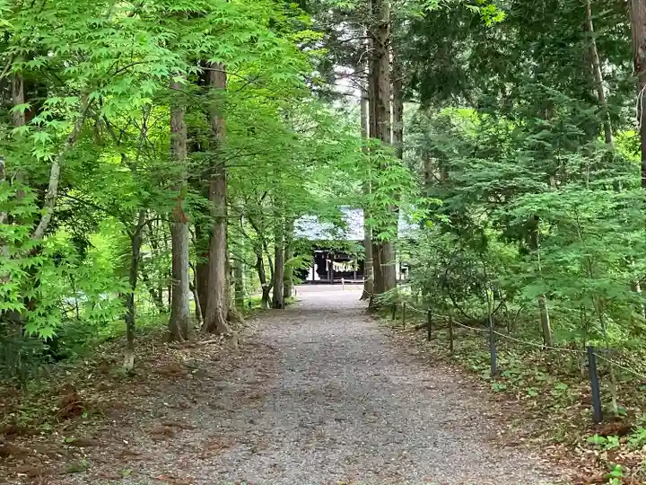 出早雄小萩神社の自然