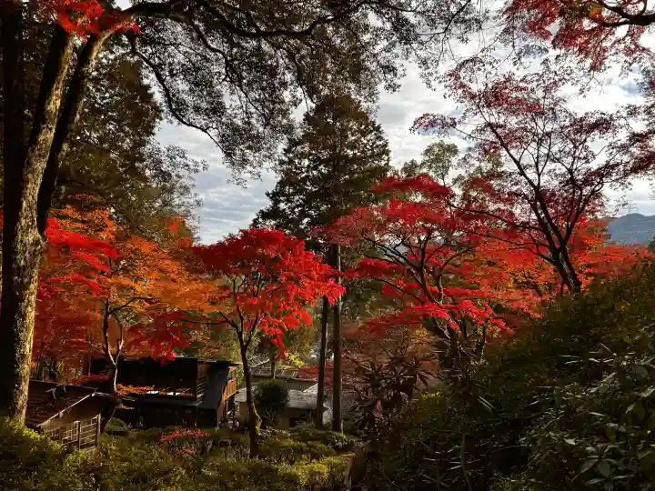 大興善寺の{uncategorized: "未分類", other: "その他", undefined: "問題あり", building: "その他建物", grave: "お墓", sacred_gate: "鳥居", guardian: "狛犬", statue: "像", buddha: "仏像", history: "歴史", nature: "自然", garden: "庭園", animal: "動物", pagoda: "塔", temizu: "手水舎", mountain_gate: "山門・神門", sanctuary: "本殿・本堂", subordinate: "末社・摂社", art: "芸術", scenery: "景色", jizo: "地蔵", ema: "絵馬", goshuin: "御朱印", omikuji: "おみくじ", items: "授与品その他", amulet: "お守り", goshuincho: "御朱印帳", eats: "食事", festival: "お祭り", votive_dance: "神楽", shichigosan: "七五三参", wedding: "結婚式", experience: "体験その他", initially: "初詣", around: "周辺", anti_infection: "感染症対策"}