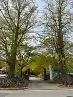 泉渓寺の山門・神門