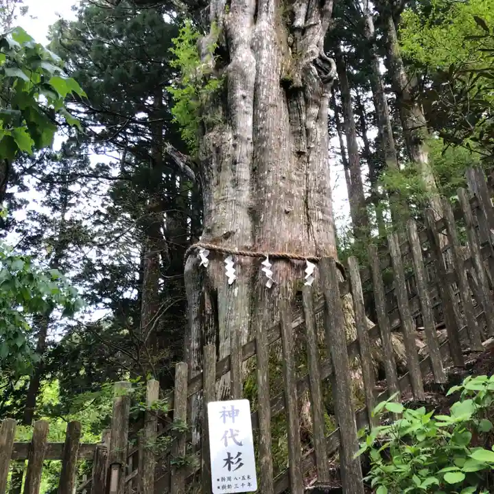 玉置神社(奈良県)