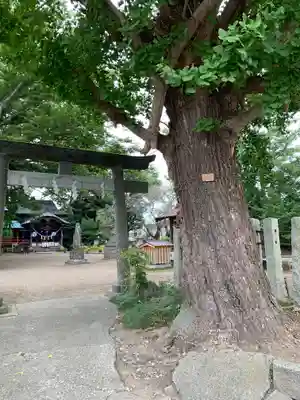 水海道鎮守 八幡神社の鳥居