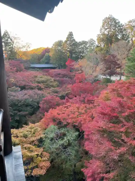 東福禅寺(東福寺)(京都府)