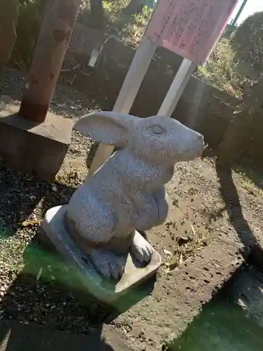 赤羽八幡神社の狛犬