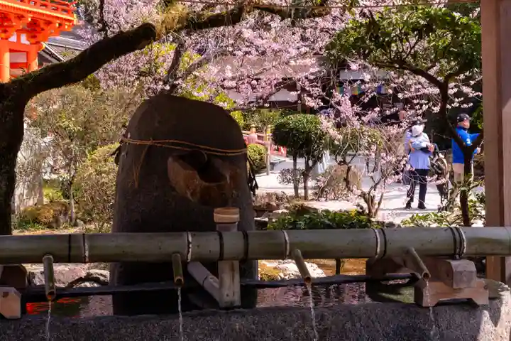 賀茂別雷神社(上賀茂神社)(京都府)
