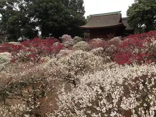 道明寺天満宮の庭園