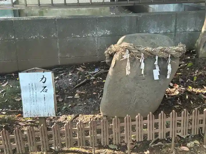 氷川女體神社(埼玉県)