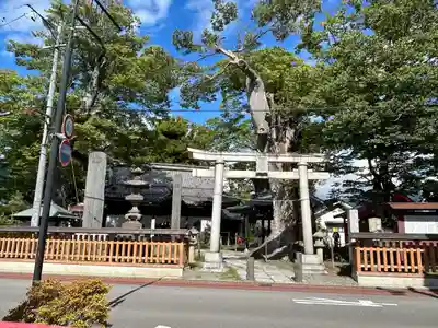 科野大宮社(長野県)