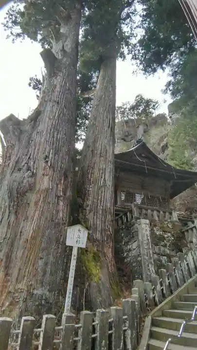 榛名神社(群馬県)