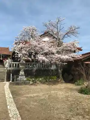 津田八幡宮の自然