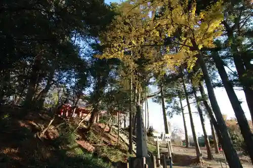 阿久津「田村神社」（郡山市阿久津町）旧社名：伊豆箱根三嶋三社の景色