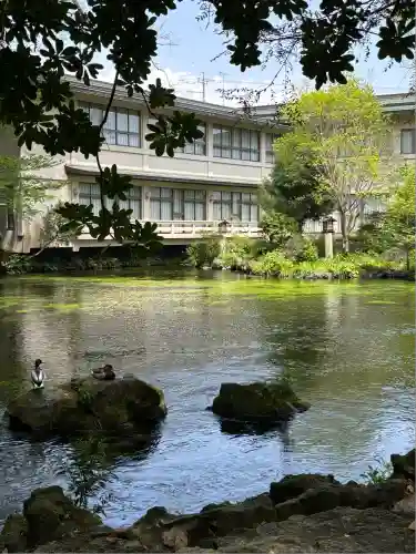 富士山本宮浅間大社(静岡県)