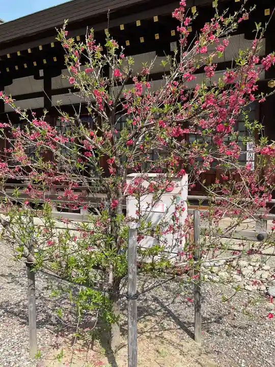 真清田神社(愛知県)