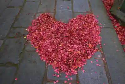 神炊館神社 ⁂奥州須賀川総鎮守⁂の芸術