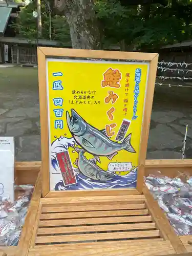 帯廣神社のおみくじ