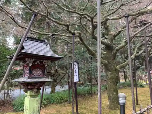 北口本宮冨士浅間神社の自然