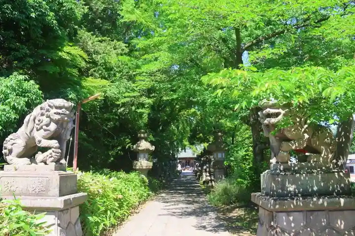 神炊館神社 ⁂奥州須賀川総鎮守⁂の狛犬