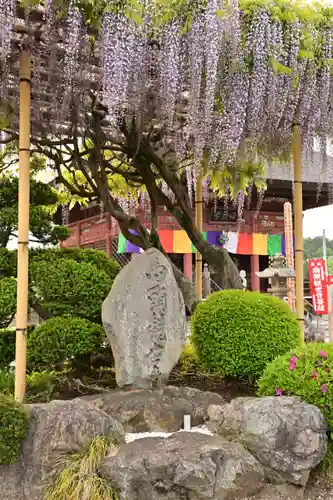 語歌堂(埼玉県)