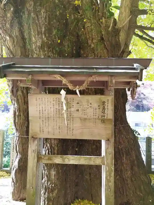 素盞雄神社(奈良県)