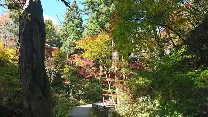 大正寺(中野不動尊)のその他建物