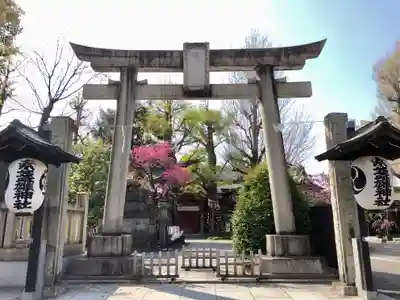 素盞雄神社の鳥居