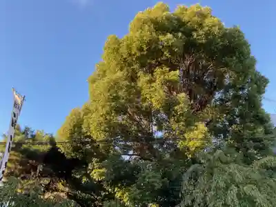 油江天神社(愛知県)