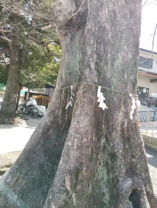 滝野川八幡神社の{uncategorized: "未分類", other: "その他", undefined: "問題あり", building: "その他建物", grave: "お墓", sacred_gate: "鳥居", guardian: "狛犬", statue: "像", buddha: "仏像", history: "歴史", nature: "自然", garden: "庭園", animal: "動物", pagoda: "塔", temizu: "手水舎", mountain_gate: "山門・神門", sanctuary: "本殿・本堂", subordinate: "末社・摂社", art: "芸術", scenery: "景色", jizo: "地蔵", ema: "絵馬", goshuin: "御朱印", omikuji: "おみくじ", items: "授与品その他", amulet: "お守り", goshuincho: "御朱印帳", eats: "食事", festival: "お祭り", votive_dance: "神楽", shichigosan: "七五三参", wedding: "結婚式", experience: "体験その他", initially: "初詣", around: "周辺", anti_infection: "感染症対策"}