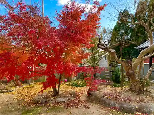 長楽寺(兵庫県)