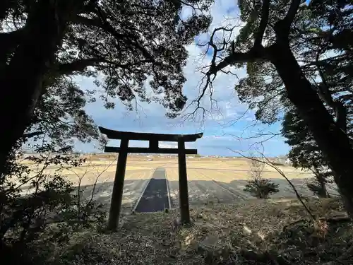 大野八幡神社の鳥居