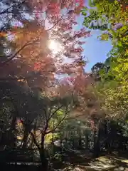 大矢田神社の自然