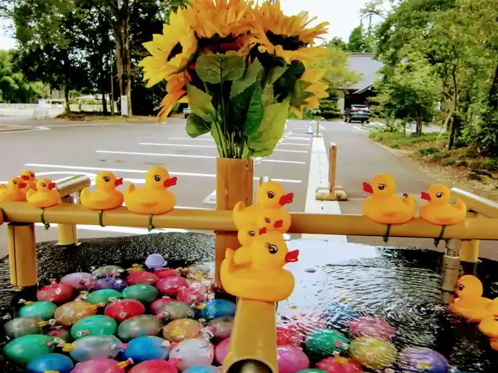 乃木神社の手水舎
