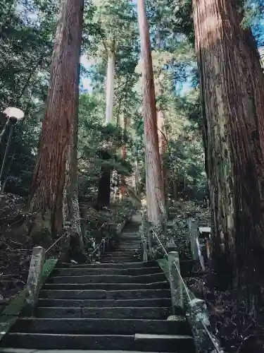 室生寺の{uncategorized: "未分類", other: "その他", undefined: "問題あり", building: "その他建物", grave: "お墓", sacred_gate: "鳥居", guardian: "狛犬", statue: "像", buddha: "仏像", history: "歴史", nature: "自然", garden: "庭園", animal: "動物", pagoda: "塔", temizu: "手水舎", mountain_gate: "山門・神門", sanctuary: "本殿・本堂", subordinate: "末社・摂社", art: "芸術", scenery: "景色", jizo: "地蔵", ema: "絵馬", goshuin: "御朱印", omikuji: "おみくじ", items: "授与品その他", amulet: "お守り", goshuincho: "御朱印帳", eats: "食事", festival: "お祭り", votive_dance: "神楽", shichigosan: "七五三参", wedding: "結婚式", experience: "体験その他", initially: "初詣", around: "周辺", anti_infection: "感染症対策"}