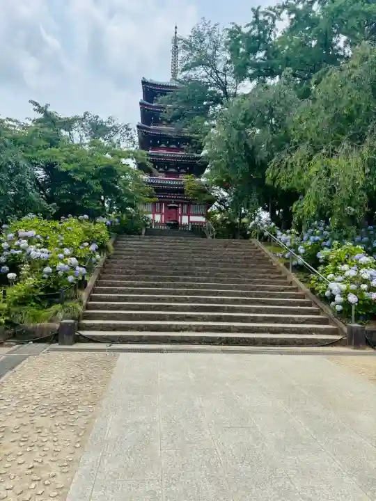 本土寺(千葉県)