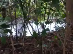 山王神社の自然