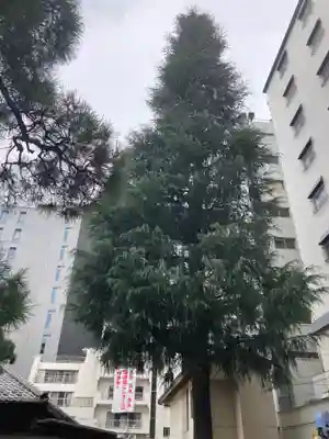 髙福院(東京都)