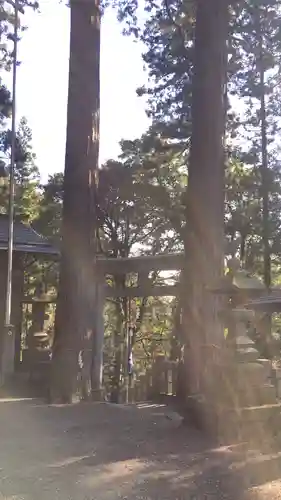 九頭龍神社の鳥居